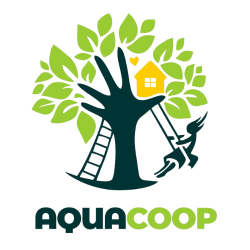 logo aqua transparente